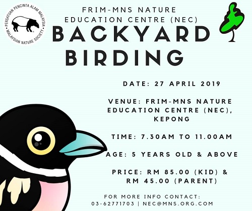  Backyard Birding 