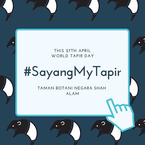  Sayang My Tapir 