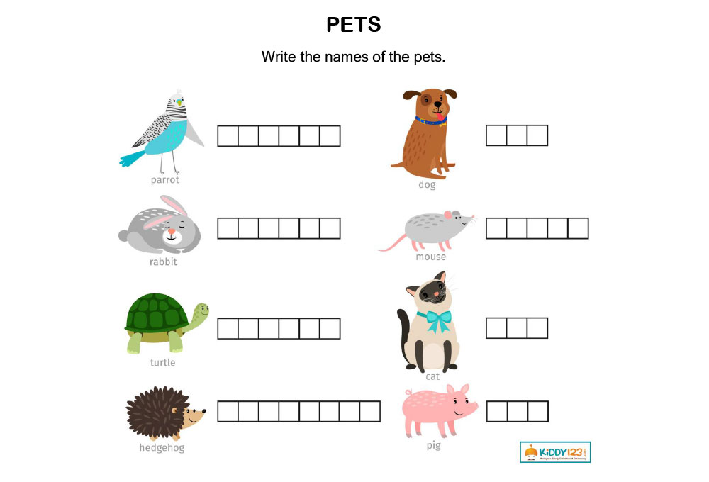 LANGUAGE _ Pets