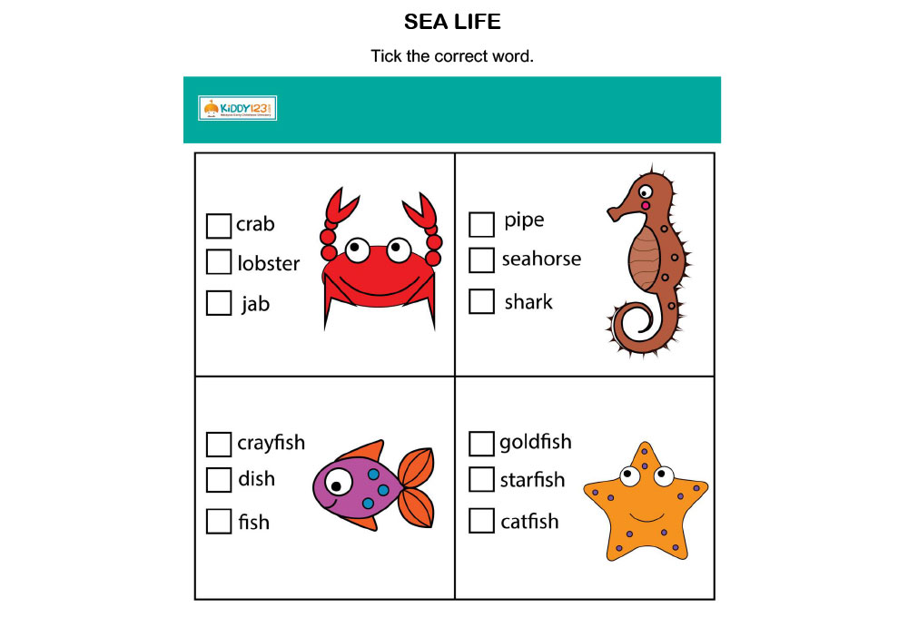 Printable Worksheet