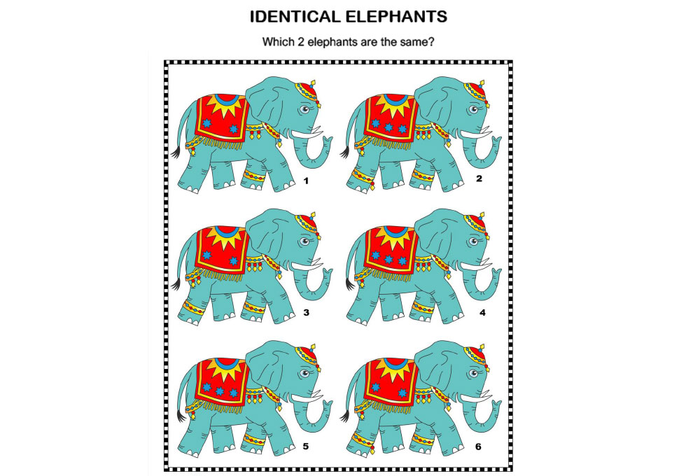 Logic & Puzzles - Identical elephants