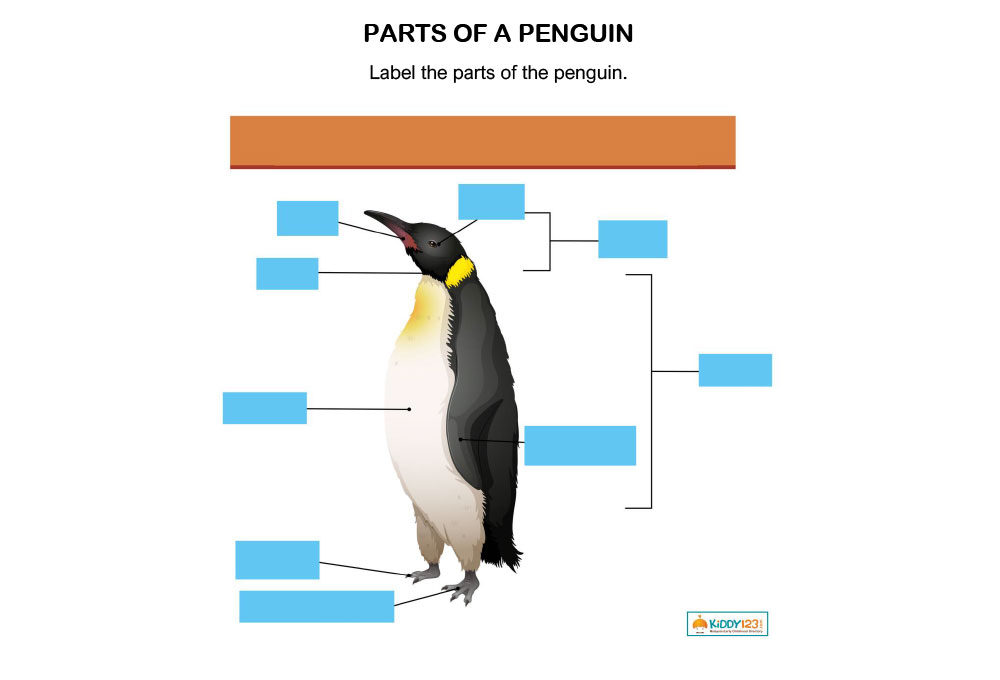 Worksheet Science
