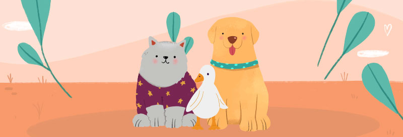 quiz animals and their offspring