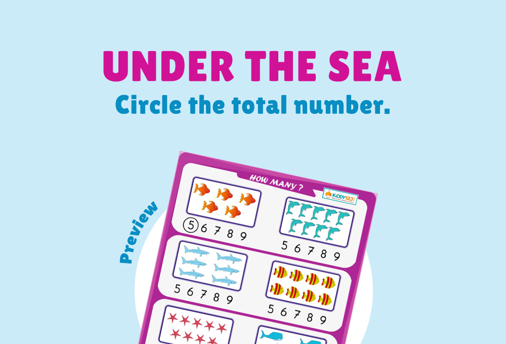 printable worksheet numbers