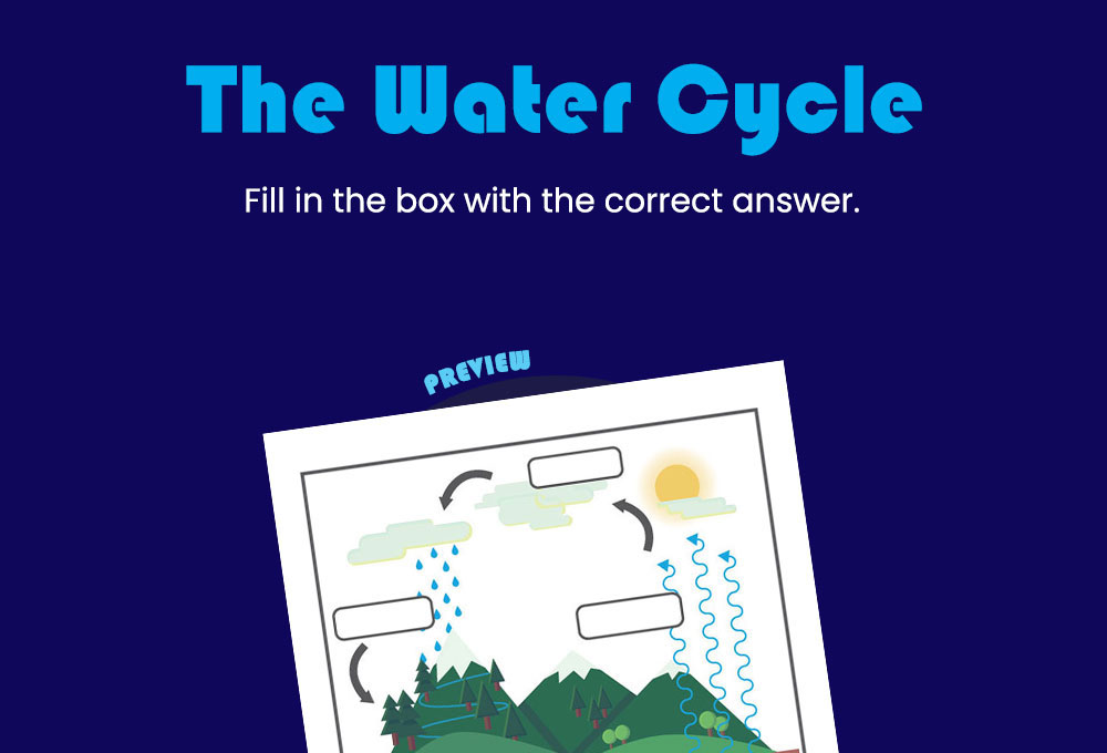 printable worksheet science