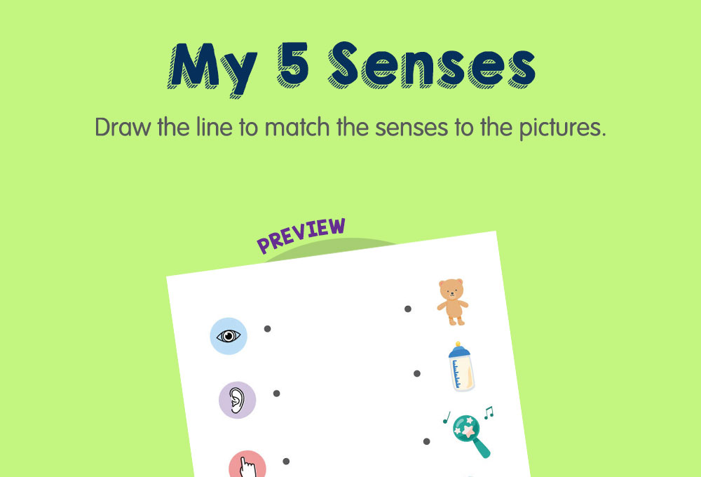 printable worksheet science