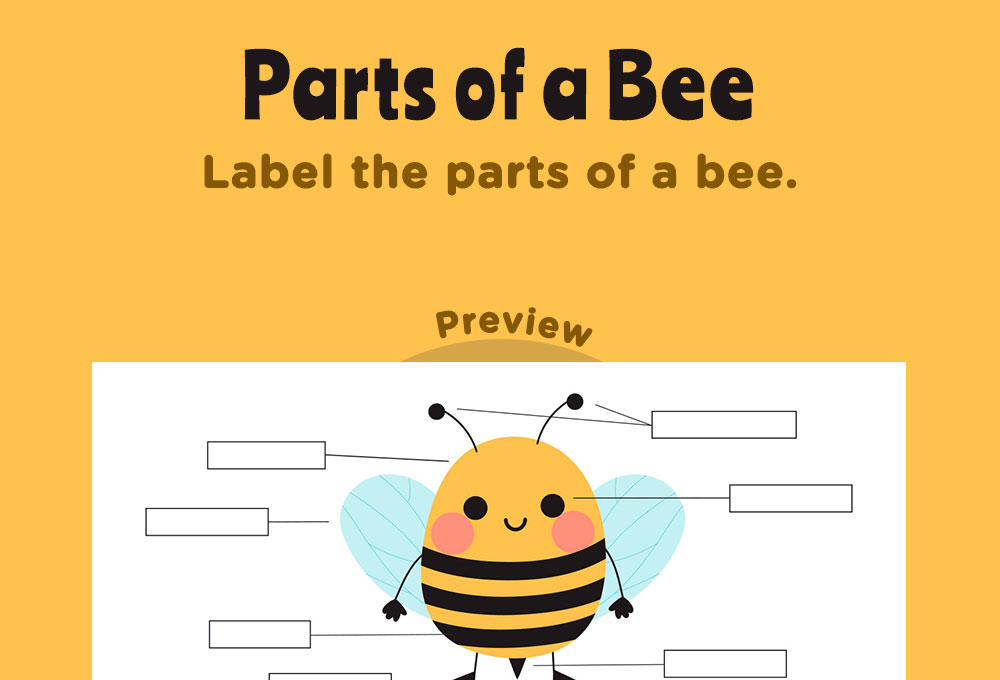 printable worksheet science