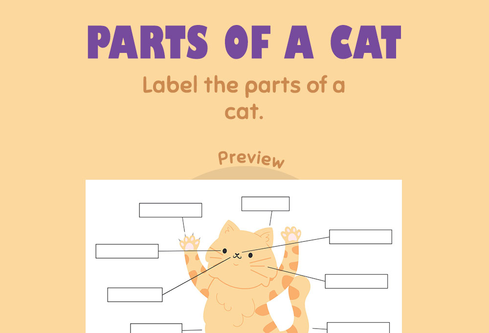 printable worksheet science