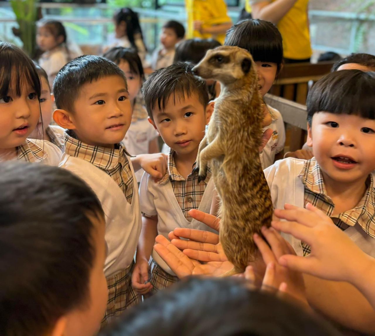 Morning Star Kindergarten, Kepong