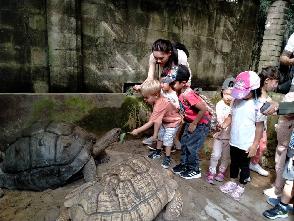 Roots & Wings Montessori Preschool, Damansara Heights