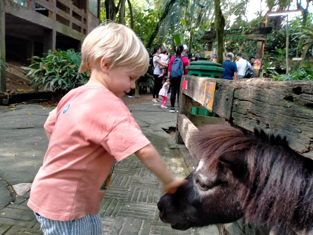 Roots & Wings Montessori Preschool, Damansara Heights