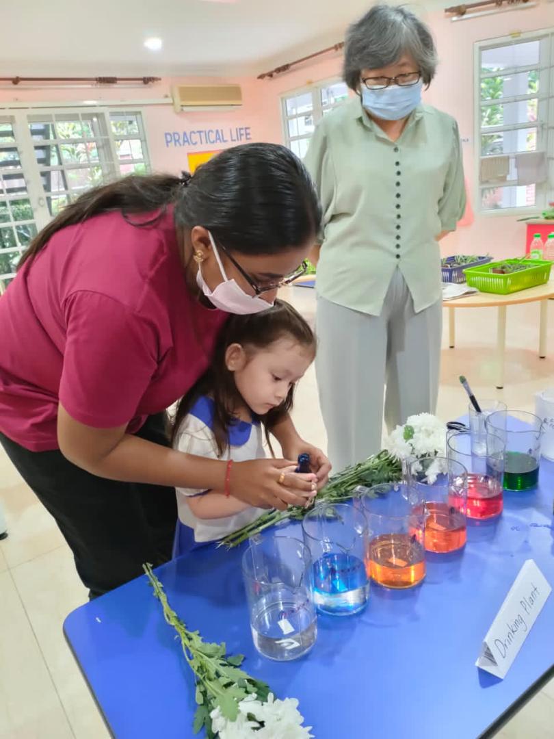 Roots & Wings Montessori Preschool, Damansara Heights