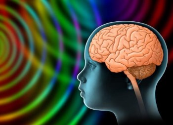 Multiple Intelligences