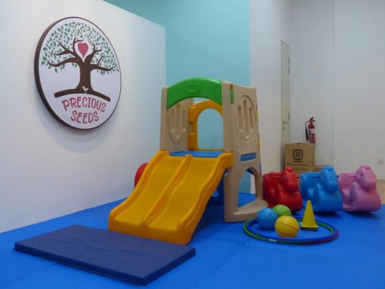 Precious Seeds Early Learning and Child Care Center, Bandar Sunway