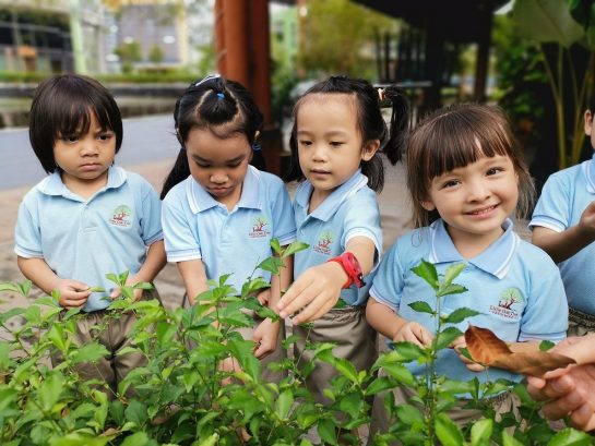Little Oak Tree, Bukit Jelutong, Shah Alam