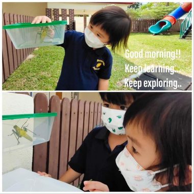 Summer Academy, Damansara Utama