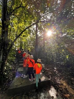 Little Urban Forest, Taman Bukit Desa