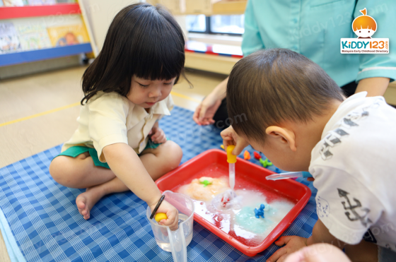 Knowledge Tree Montessori Kindergarten, Eco Ardence