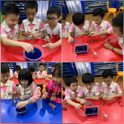 Harmony Kindergarten, Farlim