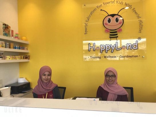 HappyLand Psychology & Therapy Centre, Johor Bahru