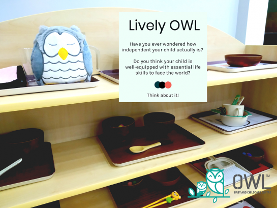 OWL Baby and Childcare Centre, Cyberjaya