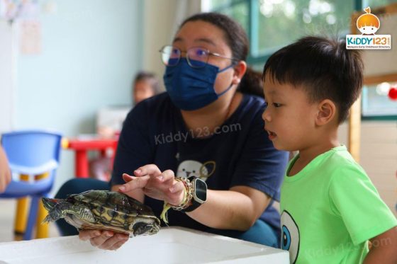 Tree Dolphin Childcare Centre, Ara Damansara