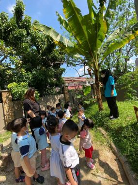 Piccoli Kindergarten, Happy Garden, Old Klang Road