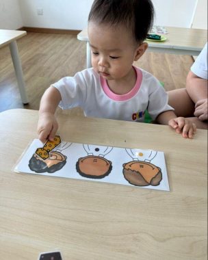 Canridge Right Brain Development Centre, Bukit Indah, Johor Bahru