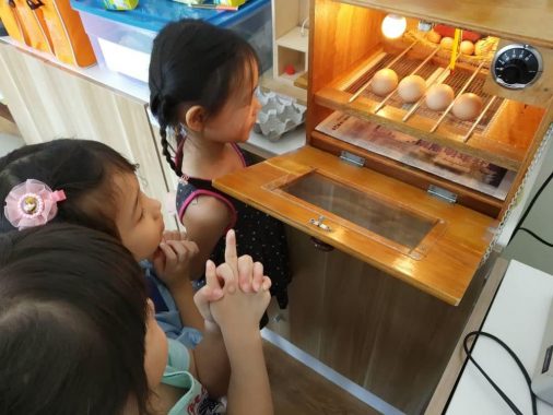 Kiddie’Z Garden Integrated Montessori Preschool, Seri Austin, Johor Bahru