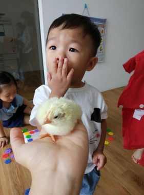 Kiddie’Z Garden Integrated Montessori Preschool, Seri Austin, Johor Bahru