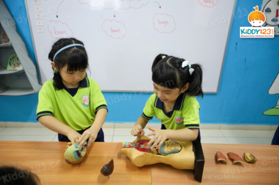 De JowiTop Preschool (Tadika Impian Terpintar), Skudai