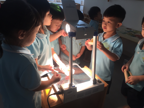 Treetops Montessori, Taman Mount Austin, JB