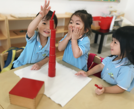 Treetops Montessori, Taman Mount Austin, JB