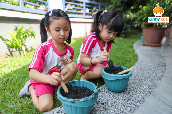 Strawberry Wonderland, Taman Pelangi Semenyih, Semenyih