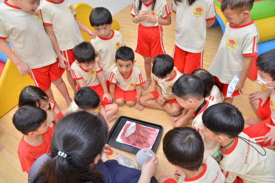 MyGenius Kindergarten, Eco Sanctuary & Rimbayu