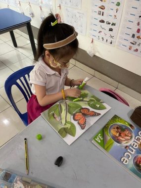 Kiddies Wonderland Educare Centre, Damai Utama