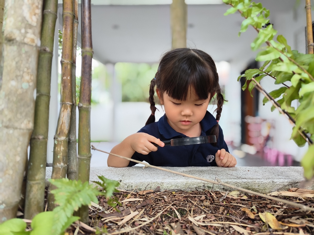 Kinder Koala Preschool Petaling Jaya