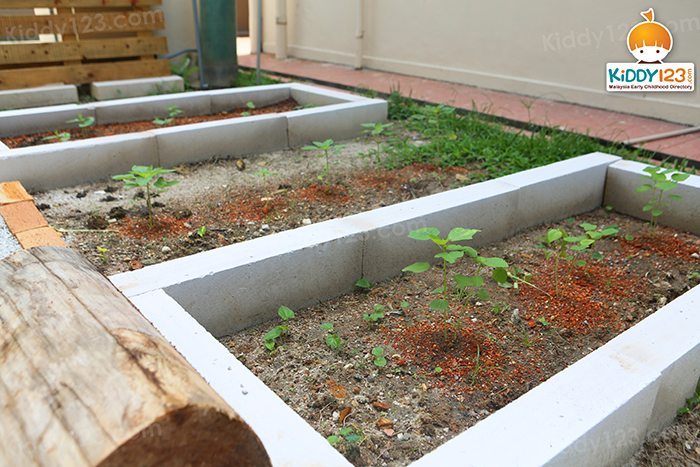 Piccoli Kindergarten Happy Garden
