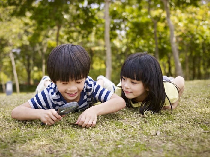 A Guide To Starting Homeschool In Malaysia