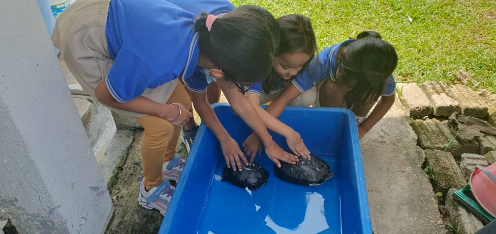 Beaconhouse Preschool Klang