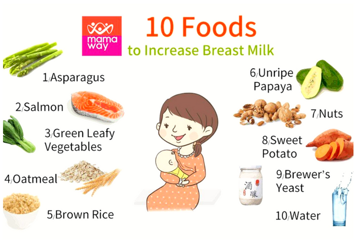 10 Best Food To Increase Breast Milk Naturally 